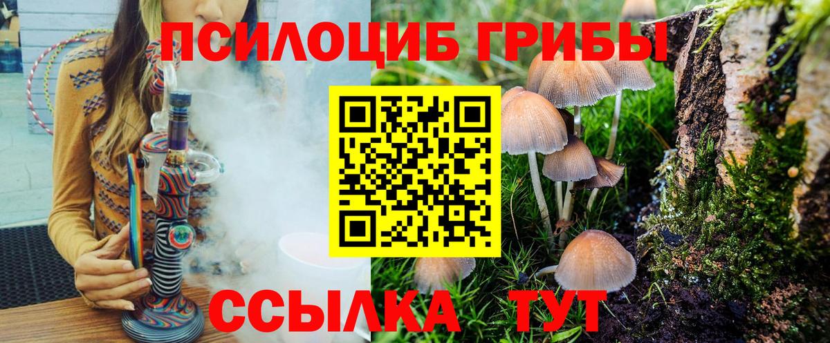 Чехов  Галлюциногенные грибы Psilocybe  Вход с VPN 